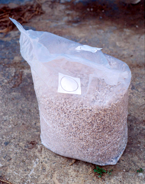 provisi&oacute;n de blanco de hongo